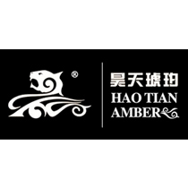 昊天琥珀 穿越时光的珍宝之旅